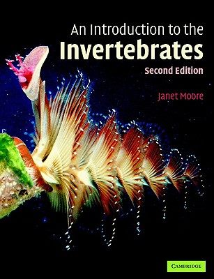 【预售】An Introduction to the Invertebrates