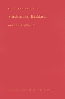 【预售】Some Adaptations of Marsh-Nesting Blackbirds