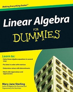 For Algebra Dummies Linear 现货