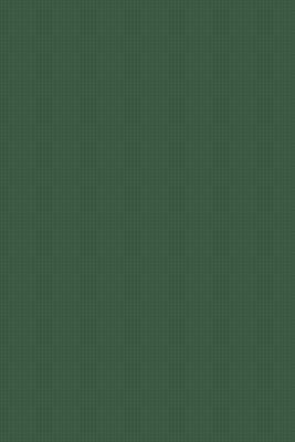 美国库房发货，通常付款后5-8周到货！