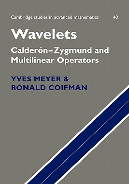 【预售】Wavelets: Calder N-Zygmund and Multilinear