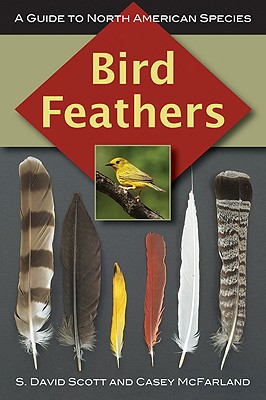 【预售】Bird Feathers: A Guide to North American Species