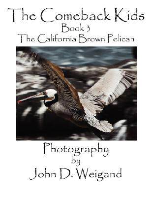 【预售】The Comeback Kids, Book 3, the California Brown