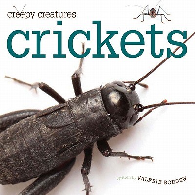 【预售】Crickets