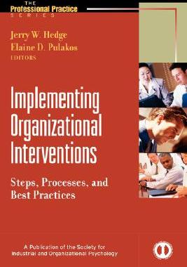 【预售】Implementing Organizational Interventions: Steps