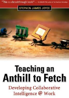 【预售】Teaching an Anthill to Fetch: Developing