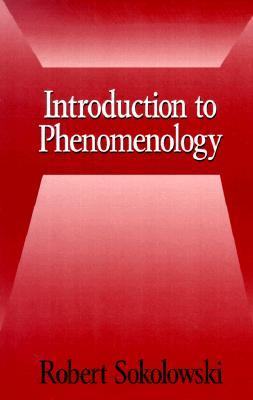 现货 Introduction to Phenomenology
