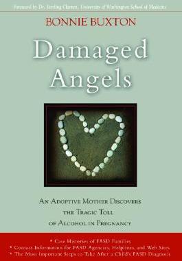 【预售】Damaged Angels: An Adoptive Mother Discovers the