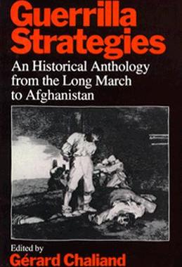 【预订】Guerrilla Strategies