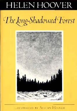 【预售】Long-Shadowed Forest