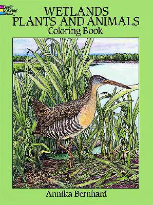 【预售】Wetlands Plants and Animals Coloring Book