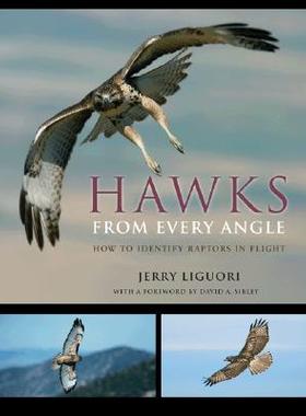 【预售】Hawks from Every Angle: How to Identify Raptors in