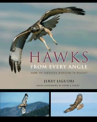 【预售】Hawks from Every Angle: How to Identify Raptors in