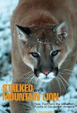 【预售】Stalked by a Mountain Lion: Fear, Fact, and the