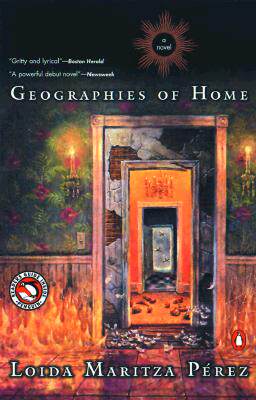 【预售】Geographies of Home