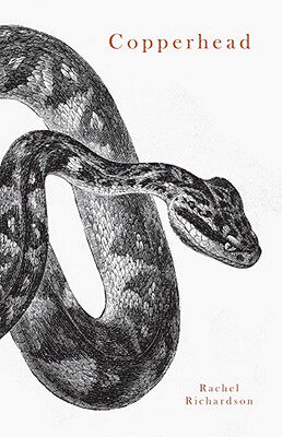 【预售】Copperhead