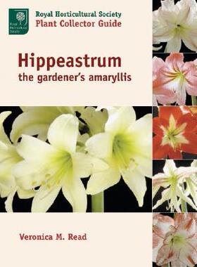 【预订】Hippeastrum: The Gardener's Amaryllis