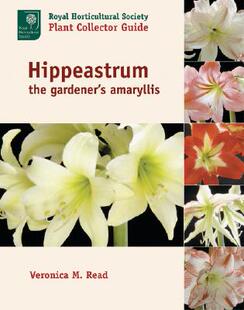【预订】Hippeastrum: The Gardener's Amaryllis