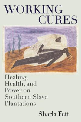 【预售】Working Cures: Healing, Health, and Power on