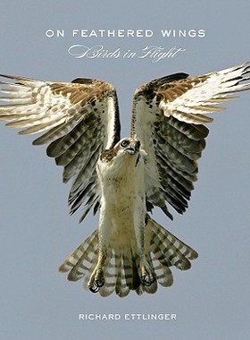 【预售】On Feathered Wings: Birds in Flight