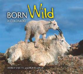 【预售】Born Wild in Colorado