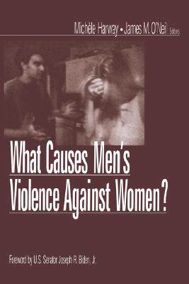 【预售】What Causes Men's Violence Against Women?