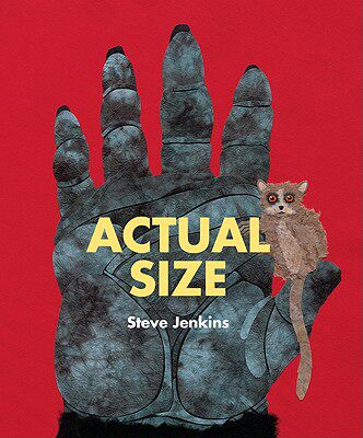 【预售】Actual Size
