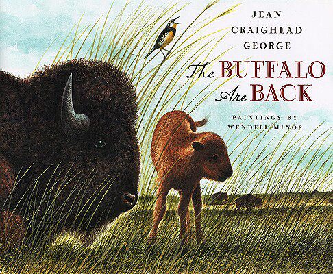 【预售】The Buffalo Are Back