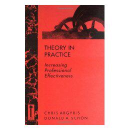 【预售】Theory In Practice: Increasing Professional