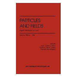 【预售】Particles and Fields: Eighth Mexican School: Oaxaca