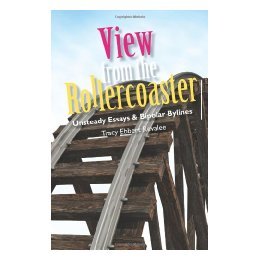 【预售】View from the Rollercoaster