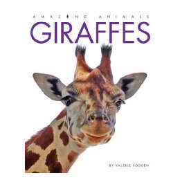 【预售】Giraffes