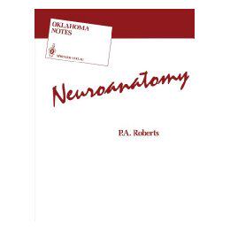 【预售】Neuroanatomy