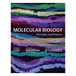 【预售】Molecular Bio / Prin and Practice: Principles and