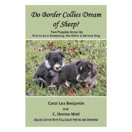 【预售】Do Border Collies Dream of Sheep? Full Color