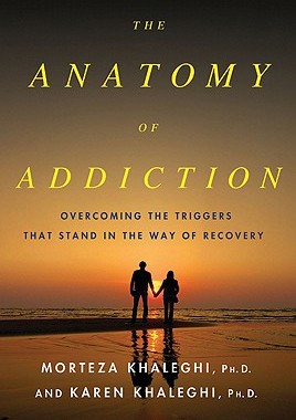 【预售】The Anatomy of Addiction: Overcoming the Triggers