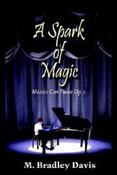 Musica Op. Fuoco Con Magic Spark 预售