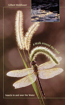 【预售】A Walk Around the Pond: Insects in and Over the