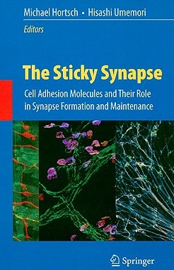 【预售】The Sticky Synapse: Cell Adhesion Molecules and