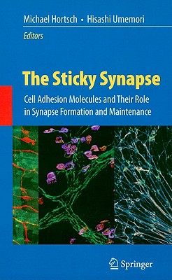 【预售】The Sticky Synapse: Cell Adhesion Molecules and