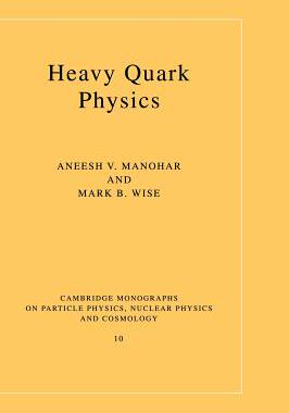 【预售】Heavy Quark Physics