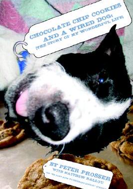 【预售】Chocolate Chip Cookies and a Wired Dog: The Story of