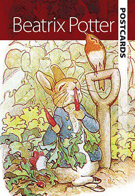 美国库房发货，通常付款后5-8周到货！