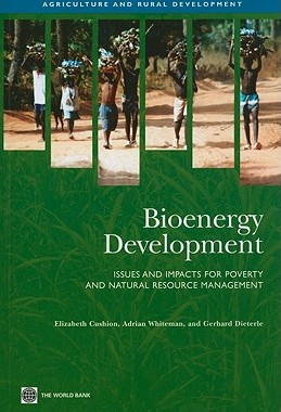 【预售】Bioenergy Development: Issues and Impacts for