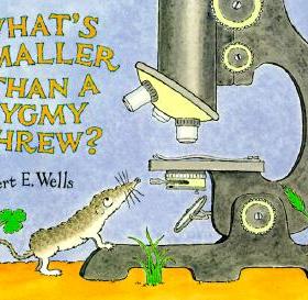 【预售】What's Smaller Than a Pygmy Shrew?