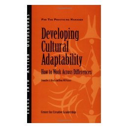 【预售】Developing Cultural Adaptability: How To Work Across