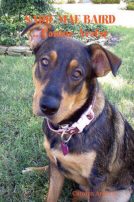 【预售】Sadie Mae Baird ... Canine Avatar