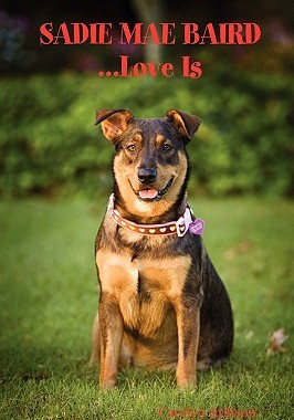 【预售】Sadie Mae Baird...Love Is