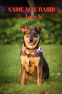 Mae 预售 Sadie Baird...Love