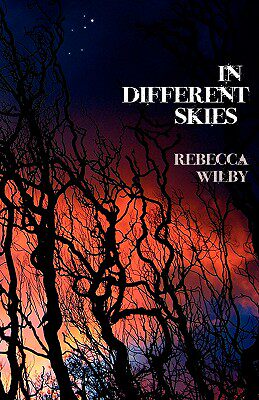 【预售】In Different Skies